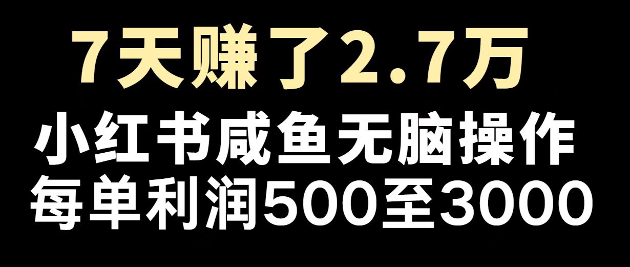 最赚钱项目之一，2025爆火，逆风翻盘！-向阳花网-资源网-最新项目分享网站