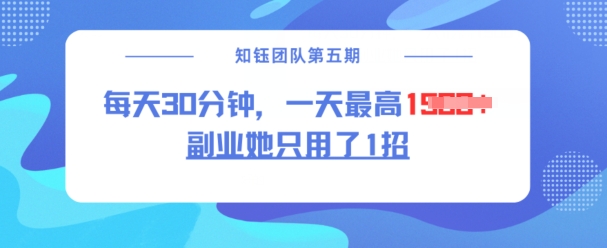 副业她只用了1招，每天30分钟，无脑二创，一天最高1.5k-向阳花网-资源网-最新项目分享网站