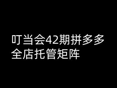 叮当会拼多多打爆班原创高阶技术第42期，拼多多全店托管矩阵-向阳花网-资源网-最新项目分享网站