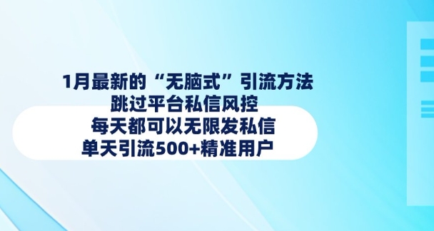 1月最新的无脑式引流方法，跳过平台私信风控，每天都可以无限发私信，单天引流500+精准用户-向阳花网-资源网-最新项目分享网站