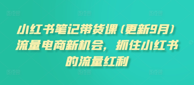 小红书笔记带货课(更新25年1月)流量电商新机会，抓住小红书的流量红利-向阳花网-资源网-最新项目分享网站