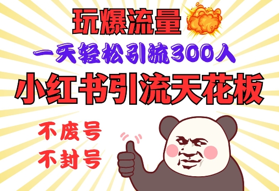 小红书引流天花板，玩爆流量，一天轻松引流300人，安全操作-向阳花网-资源网-最新项目分享网站