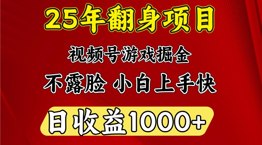 一天收益1000+ 25年开年落地好项目-向阳花网-资源网-最新项目分享网站