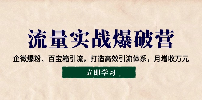 流量实战爆破营：企微爆粉、百宝箱引流，打造高效引流体系，月增收万元-向阳花网-资源网-最新项目分享网站