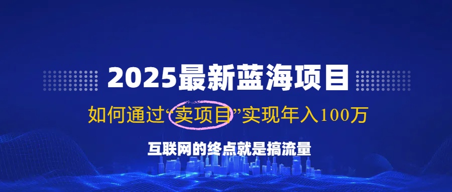 2025最新蓝海项目，零门槛轻松复制，月入10万+，新手也能操作！-向阳花网-资源网-最新项目分享网站