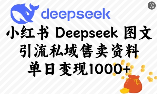 小红书Deepseek图文引流私域售卖资料，单日变现多张-向阳花网-资源网-最新项目分享网站