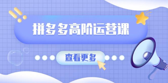 拼多多高阶运营课：极致群爆款玩法，轻付费无尽复制，打造单品爆款之路-向阳花网-资源网-最新项目分享网站