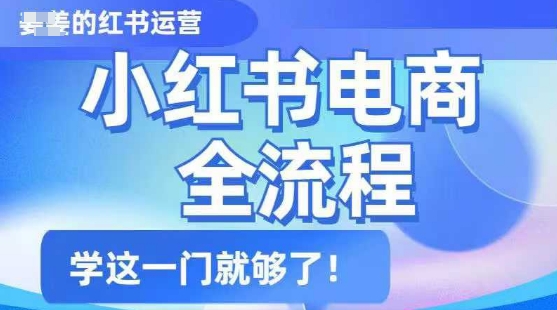 小红书电商全流程，精简易懂，从入门到精通，学这一门就够了-向阳花网-资源网-最新项目分享网站