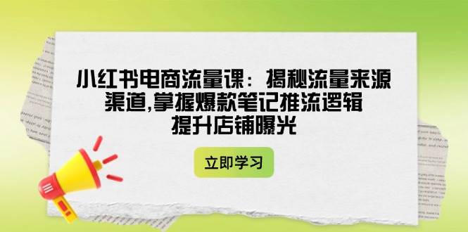 小红书电商流量课：揭秘流量来源渠道,掌握爆款笔记推流逻辑,提升店铺曝光-向阳花网-资源网-最新项目分享网站