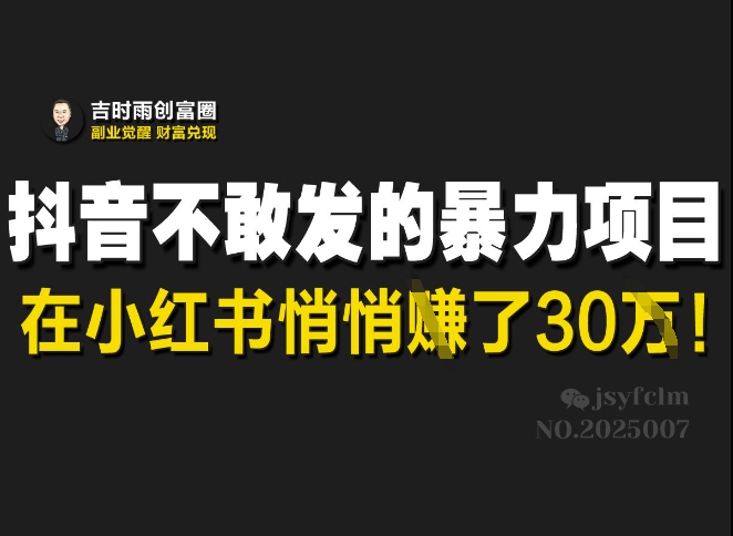 抖音不敢发的暴利项目，在小红书悄悄挣了30W-向阳花网-资源网-最新项目分享网站