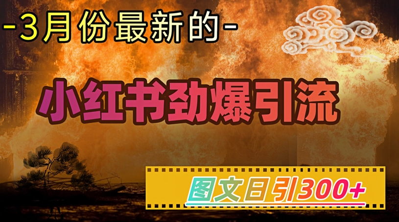 小红书超劲爆引流手段，图文日引300+轻松变现1W-向阳花网-资源网-最新项目分享网站