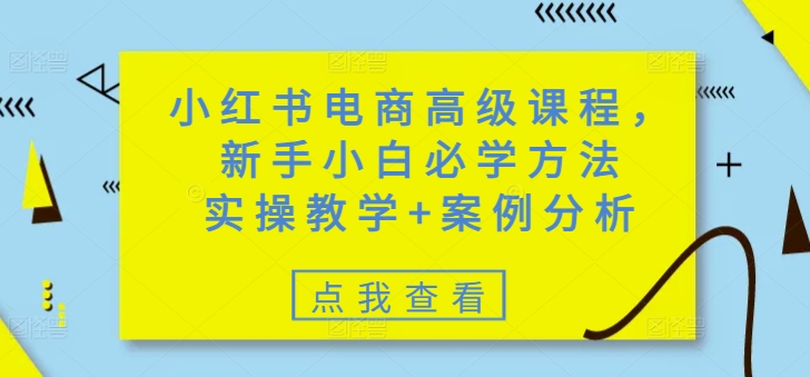 小红书电商高级课程，新手小白必学方法，实操教学+案例分析-向阳花网-资源网-最新项目分享网站