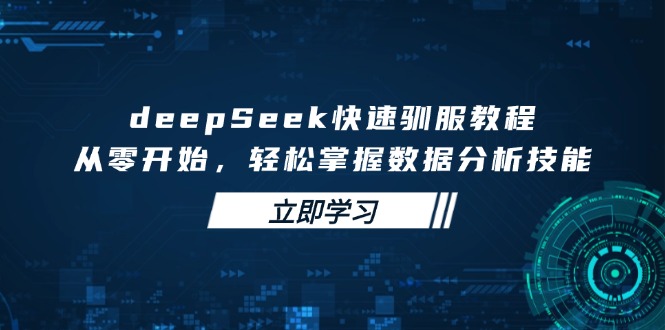 deepSeek快速驯服教程，从零开始，轻松掌握数据分析技能-向阳花网-资源网-最新项目分享网站