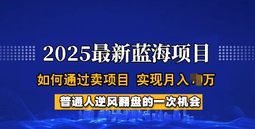 2025蓝海项目，普通人如何通过卖项目，实现月入过W，全过程【揭秘】-向阳花网-资源网-最新项目分享网站