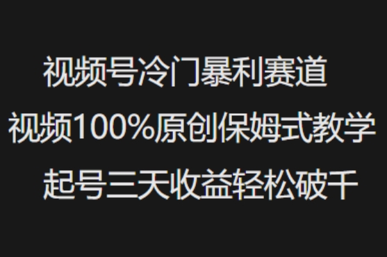 视频号冷门暴利赛道视频100%原创保姆式教学起号三天收益轻松破千-向阳花网-资源网-最新项目分享网站