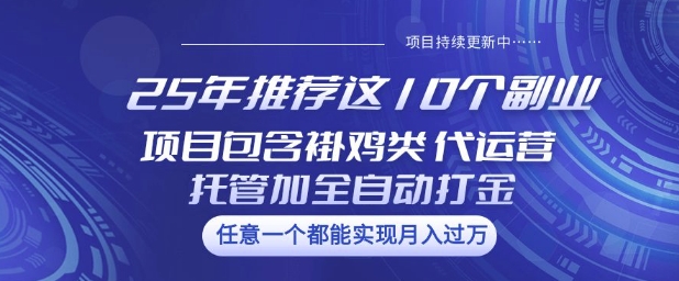 25年推荐这10个副业项目包含褂鸡类、代运营托管类、全自动打金类【揭秘】-向阳花网-资源网-最新项目分享网站