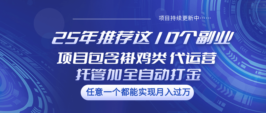 25年推荐这10个副业 项目包含褂鸡类、代运营托管类、全自动打金类-向阳花网-资源网-最新项目分享网站