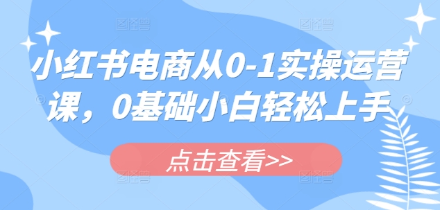 小红书电商从0-1实操运营课，0基础小白轻松上手-向阳花网-资源网-最新项目分享网站