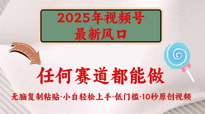 2025年视频号新风口，低门槛只需要无脑执行-向阳花网-资源网-最新项目分享网站