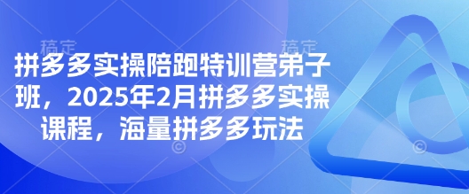 拼多多实操陪跑特训营弟子班，2025年2月拼多多实操课程，海量拼多多玩法-向阳花网-资源网-最新项目分享网站